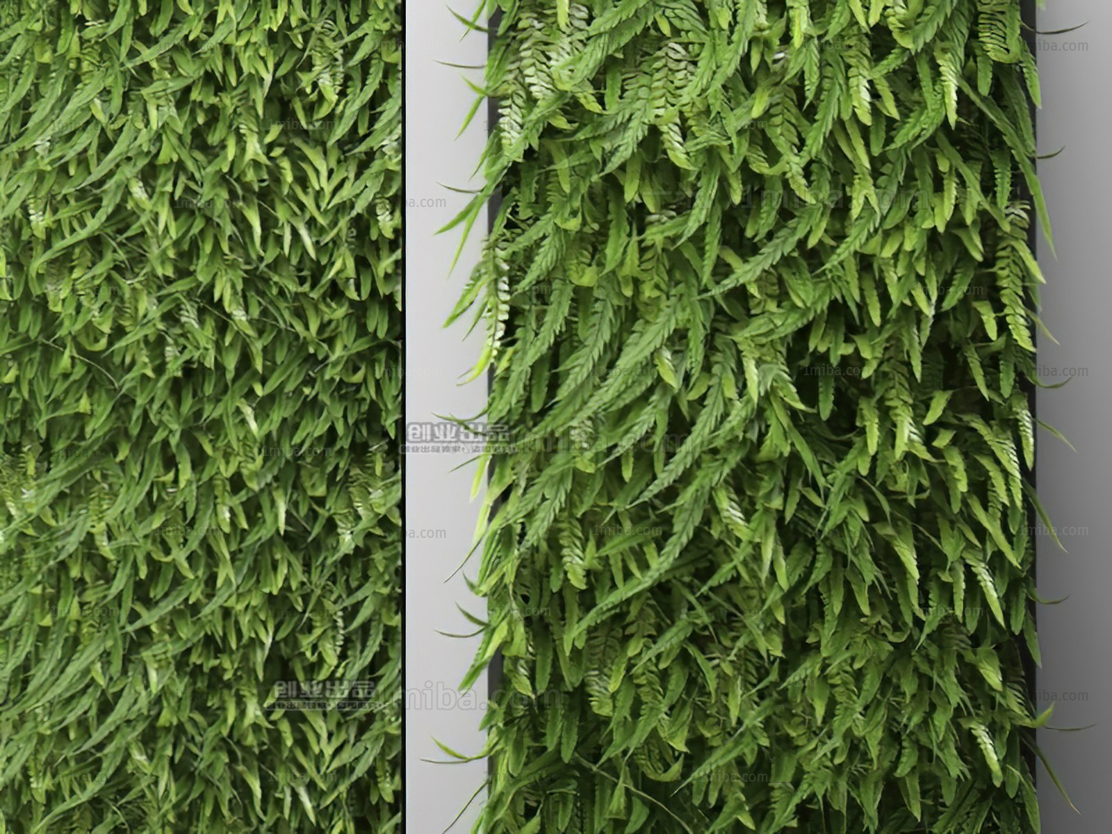 Dense Fern Green Wall 3d Model