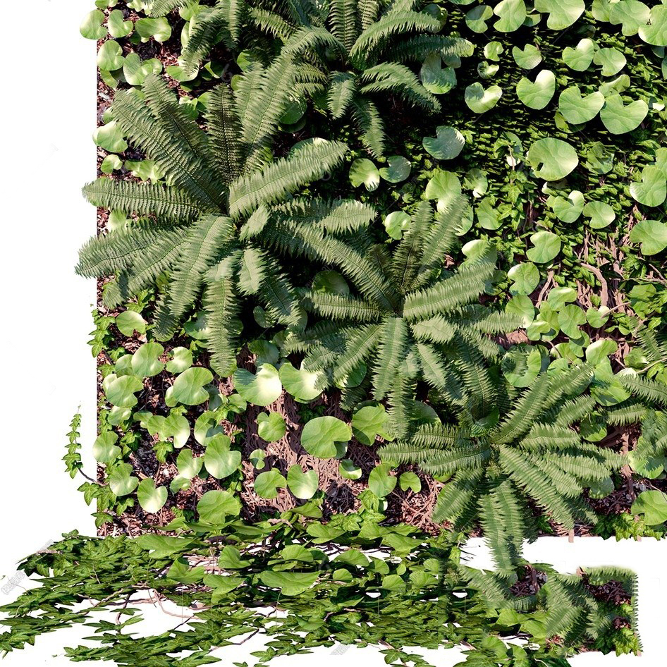 Fern Green Wall Panel 3d Model