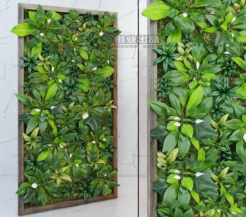 Framed Vertical Garden Wall 3d Model