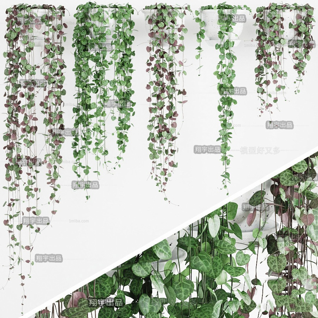Hanging Trailing Plants 3d Model