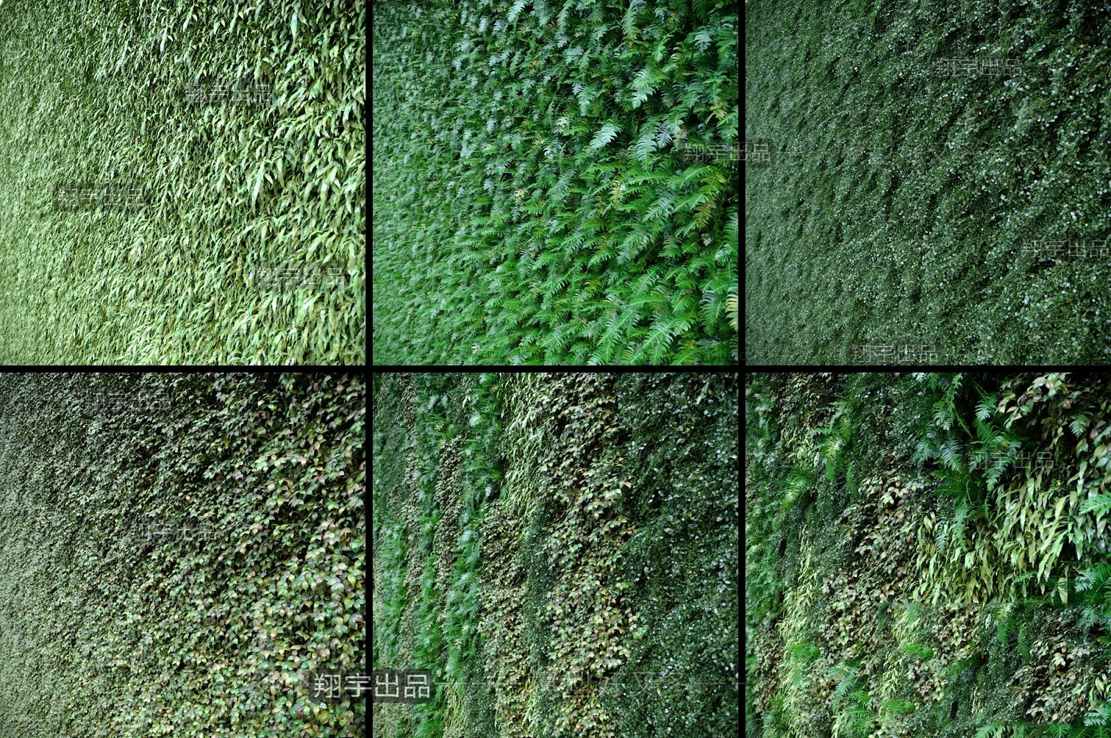 Lush Green Living Wall 3d Model