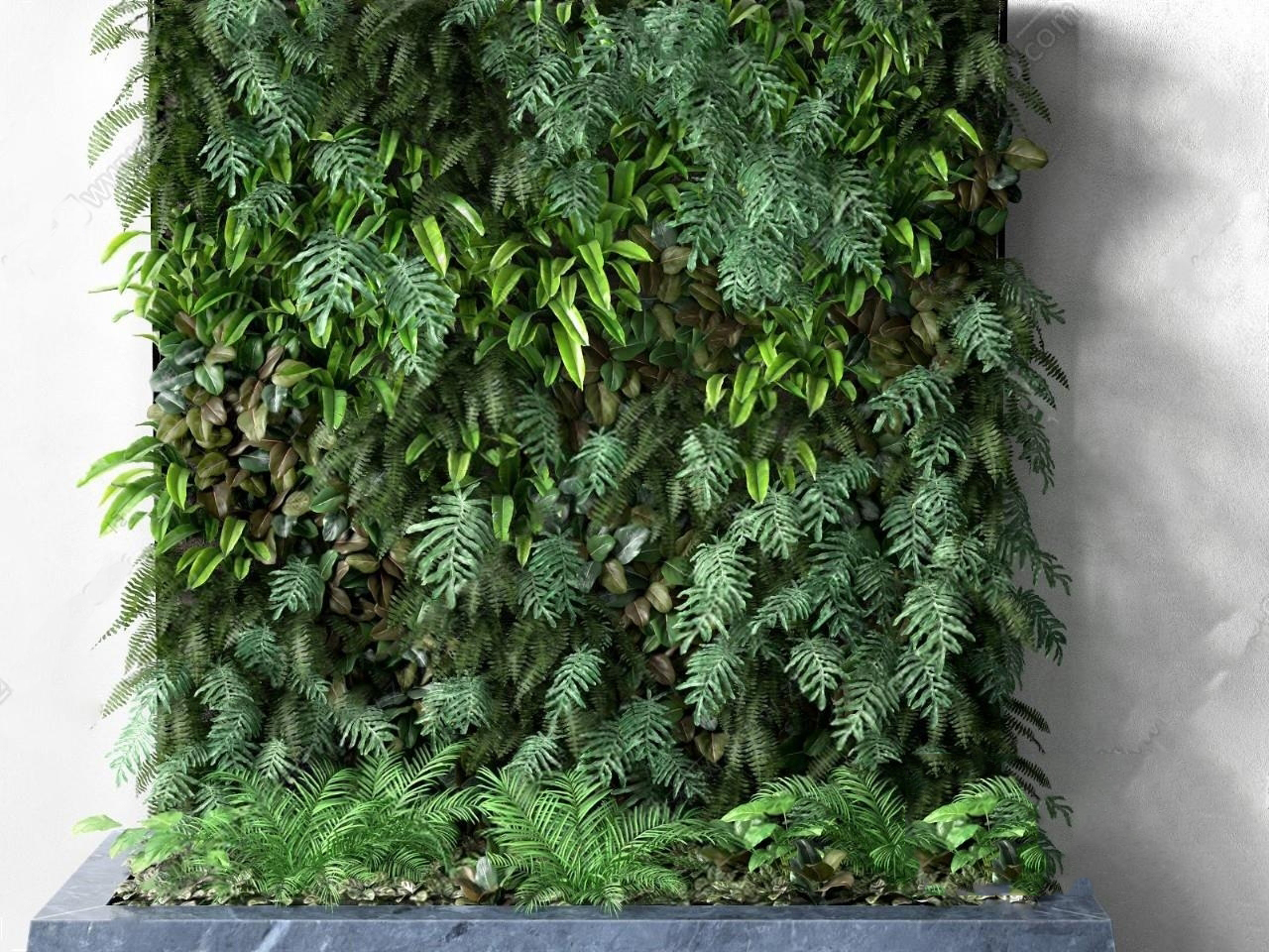 Lush Green Plant Wall 3d Model