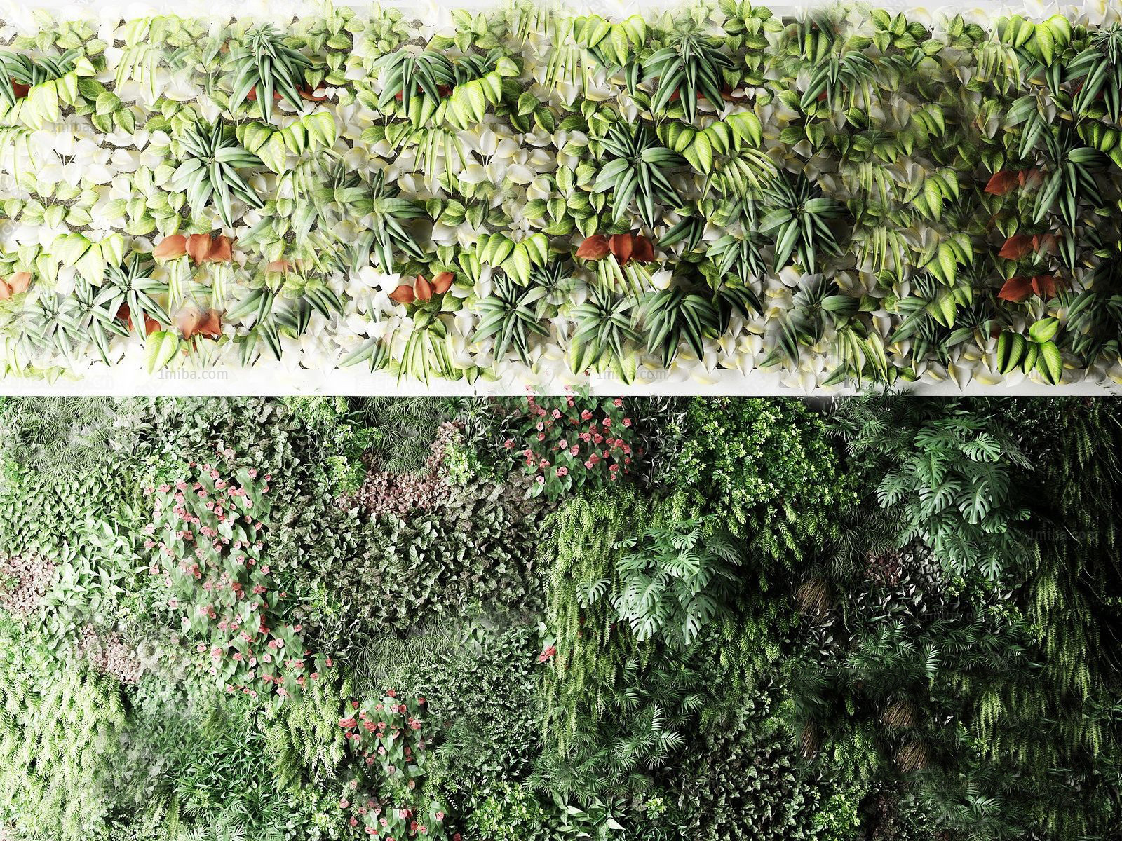 Tropical Green Wall 3d Model