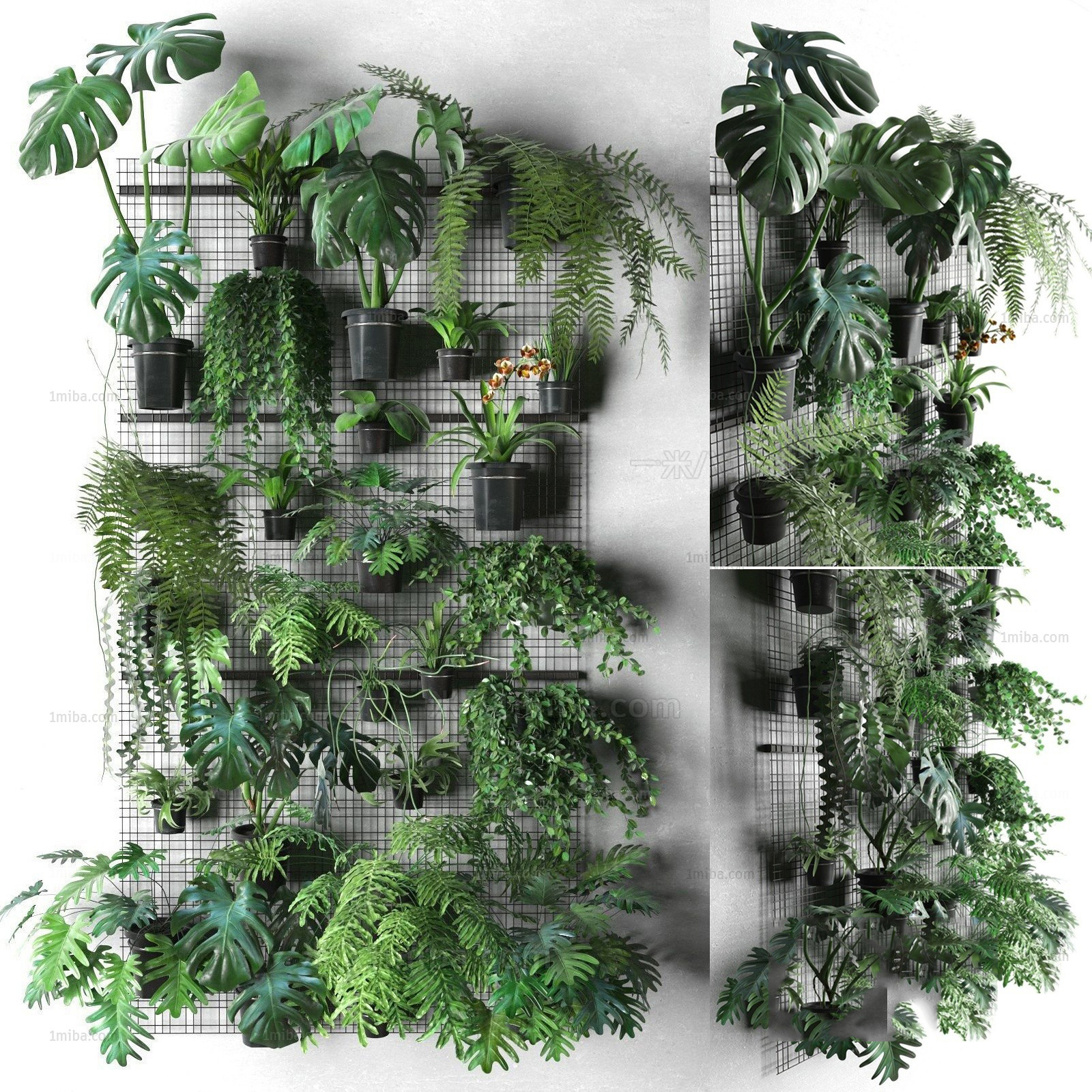 Tropical Vertical Plant Wall 3d Model